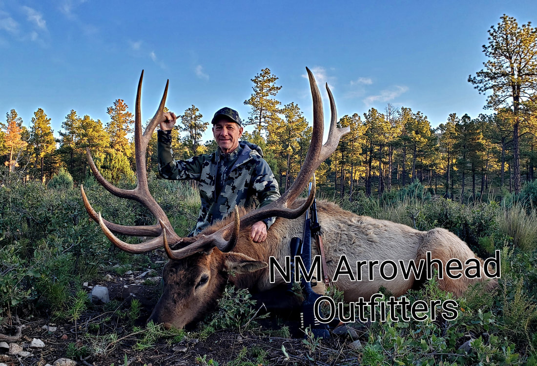 New Mexico Elk Hunts NM Arrowhead Outfitters LLC